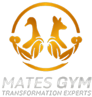 Mates Gym Logo