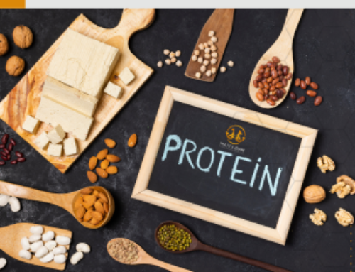 THE IMPORTANCE OF PROTEIN IN YOUR DIET